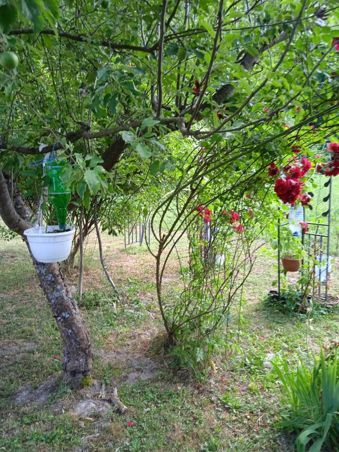 Tatil Evi Dada Kanjon Grmusa Bihać
