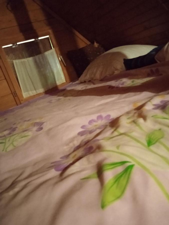 Tatil Evi Dada Kanjon Grmusa *
