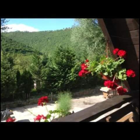 Tatil Evi Dada Kanjon Grmusa Bihać