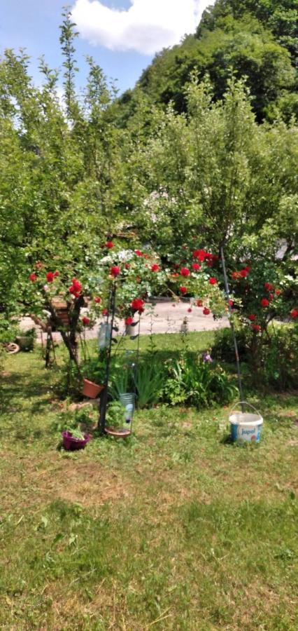 Dada Kanjon Grmusa Tatil Evi Bihać